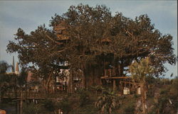 Swiss Family Island Treehouse Orlando, FL Disney Postcard Postcard Postcard