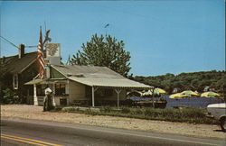 Seagull Drive-In Postcard