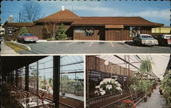 Herb Patullo's Original Greenhouse Restaurant Bound Brook, NJ Postcard Postcard Postcard