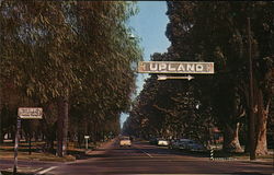 Euclid Ave. Upland, CA Postcard Postcard Postcard