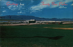 Greetings from Twenty Nine Palms Twentynine Palms, CA Postcard Postcard Postcard
