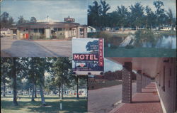 Mosely's Shady Lake Motel Rocky Mount, NC Postcard Postcard Postcard