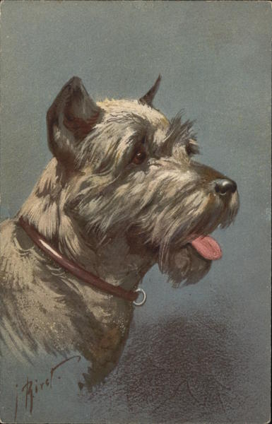 No. 103 Pinscher (Schnauzer) Dogs