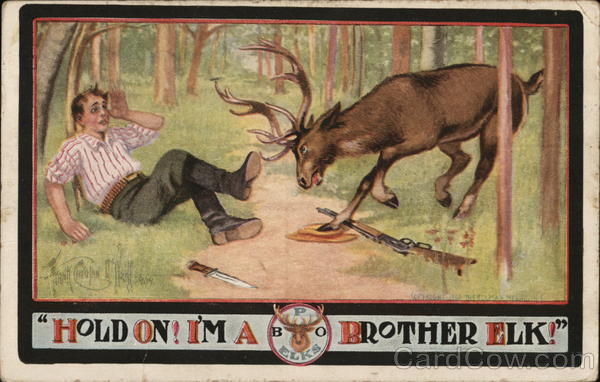 Elk attacks Man Elks Club