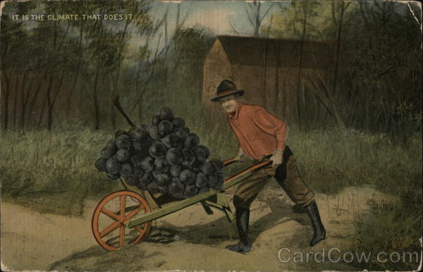 Man pushing huge bunch of grapes Exaggeration