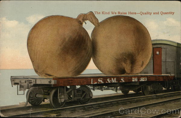 The Kind We Raise Here-Quality and Quantity Exaggeration