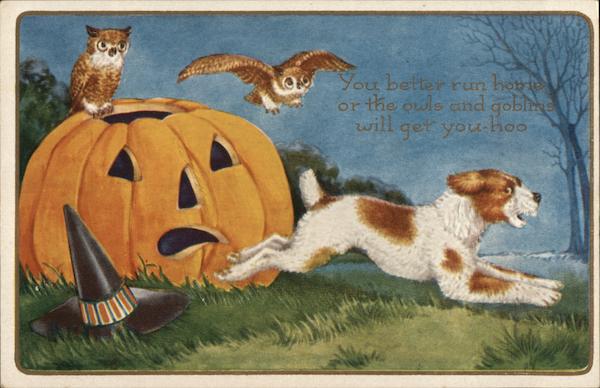 Owls, Jack o'lantern and Dog Halloween