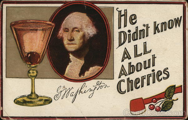 George Washington Memories Presidents