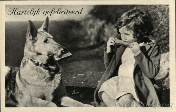 Dutch Girl Eating With Dog Dogs