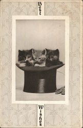 Best Wishes Postcard