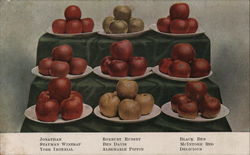 Display of Apples F. H. LaBaume Display of Apples F. H. LaBaume