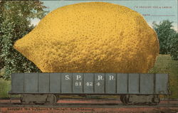 Huge Lemon Exaggeration Postcard Postcard