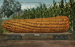 A Cartload of Corn Postcard