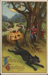 Jack o'lantern Bites Cat Halloween Postcard Postcard