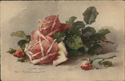 Pink Roses C. Klein Postcard Postcard