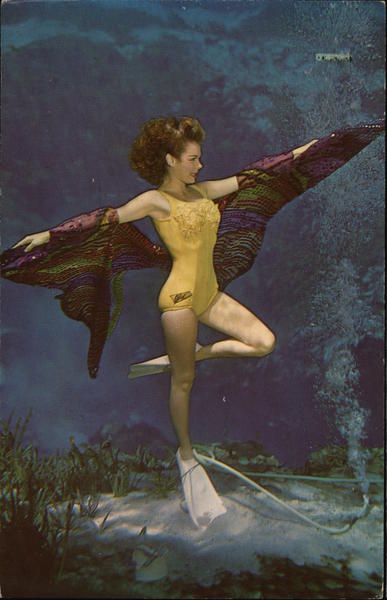 Weeki Wachee Spring Underwater Show Florida