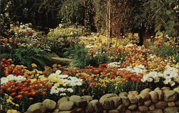 Fall Flower Show, Phipps Conservatory Pittsburgh Pennsylvania