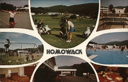 Davidman's Homowack Resort Postcard