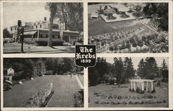 The Krebs Postcard