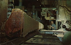 Lumberjacks, Loggers &amp; Logging Postcards