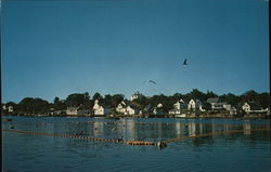 Sardine Industry Postcard