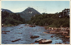 Pulp Drive on the Sourdnahunk Stream in Maine Postcard