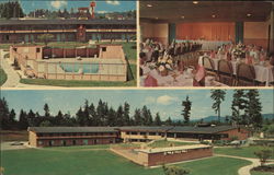 TYEE MOTOR Inn Olympia, WA Postcard Postcard Postcard