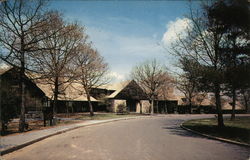 Big Meadows Lodge Postcard