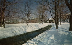 Colby Junior College New London, NH Postcard Postcard Postcard