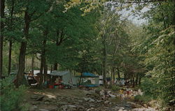 Camping Near Red House Lake New York Postcard Postcard Postcard