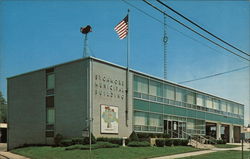 Sycamore Municipal Building Postcard