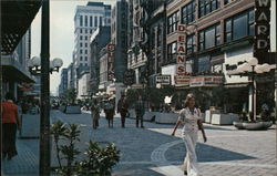 Panoramic View of Granby Mall Looking South Postcard