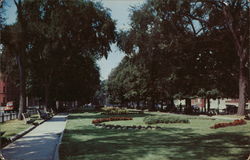 Lynn Common Gardens Postcard