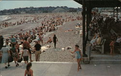 Watching the Bathers from a Shady Spot Revere Beach, MA Postcard Postcard Postcard