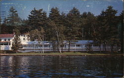 Driftwood Motel Postcard