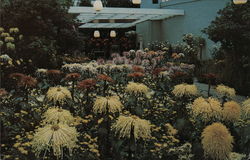 Fall Flower Show at Phipps Conservatory Fall Flower Show at Phipps Conservatory