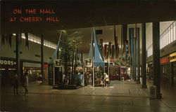 On the Mall at Cherry Hill Postcard