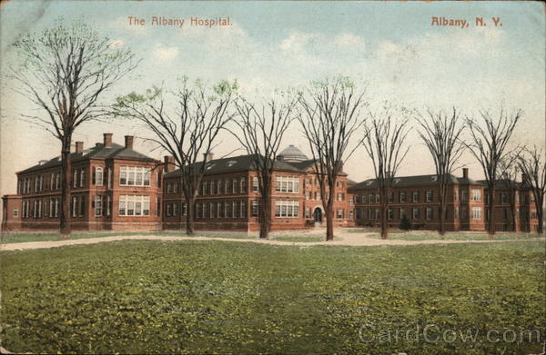 The Albany Hospital New York