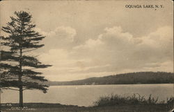 Oquaga Lake, N.Y. Postcard