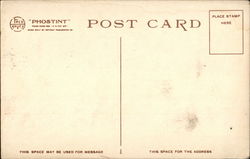 back