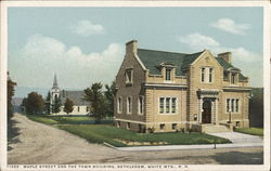 Maple Street and the Town Building Postcard