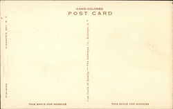 back