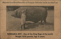 Nebraska Live Stock Remedy Company Postcard