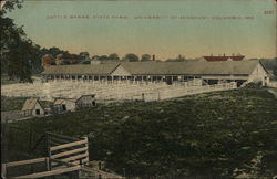 Cattle Barns, State Farm, University of Missouri Postcard