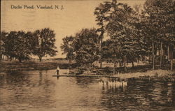 Ducks Pond Postcard