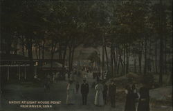 Grove at Light House Point New Haven, CT Postcard Postcard Postcard