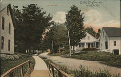 Scenic Street View Liberty, ME Postcard Postcard Postcard