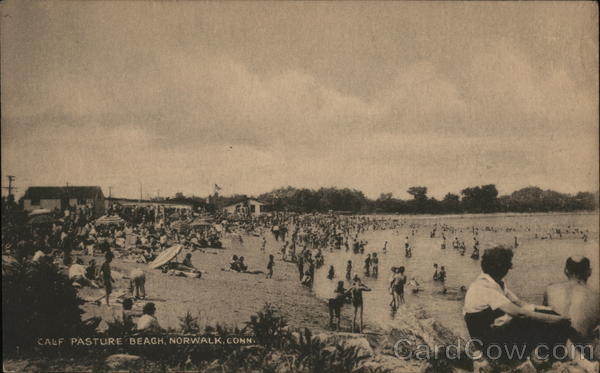 Calf Pasture Beach Norwalk Connecticut