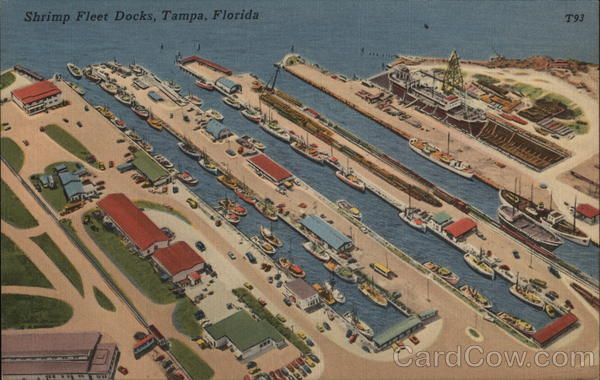 Shrimp Fleet Docks Tampa Florida