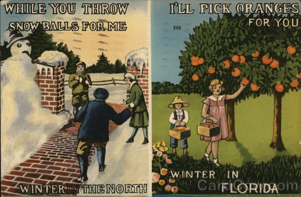 Winter.. The North vs Winter in Florida